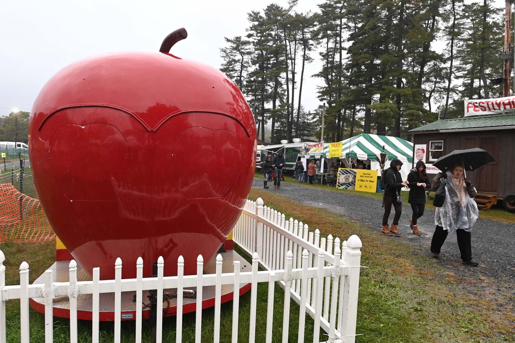 Apple Harvest 2.JPG